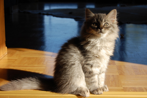 und sooo hübsch.jpg